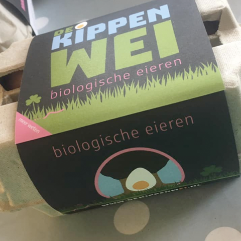 Presentatie kippenwei 4